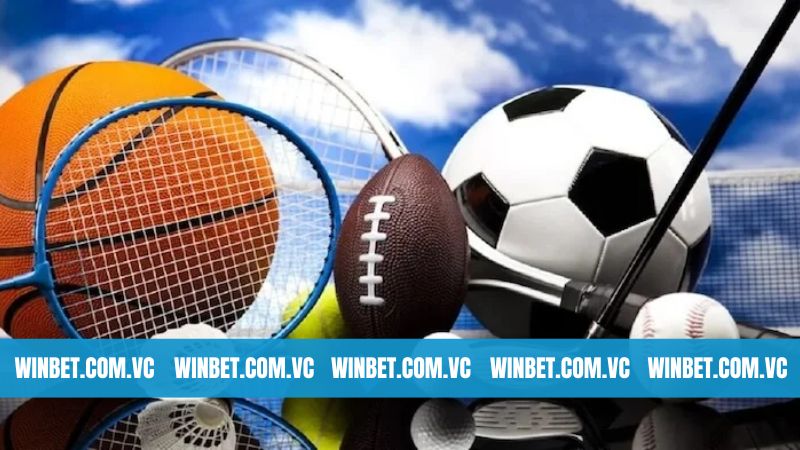 Thể Thao Winbet - Bùng Nổ Kèo Cược, Tỷ Lệ Ăn Khủng 3 Tổng hợp những bộ môn cá cược cực hấp dẫn tại thể thao Winbet
