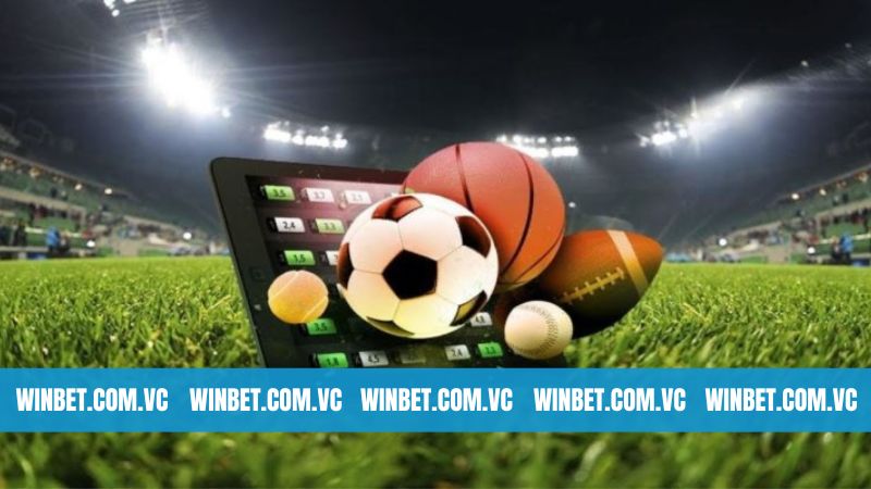 Thể Thao Winbet - Bùng Nổ Kèo Cược, Tỷ Lệ Ăn Khủng 1 Đôi nét giới thiệu chung sảnh cá cược Winbet thể thao